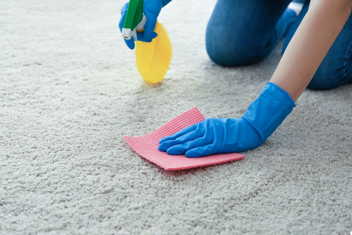 A person using a sponge to clean a carpet, focusing on a stained area with a determined expression.