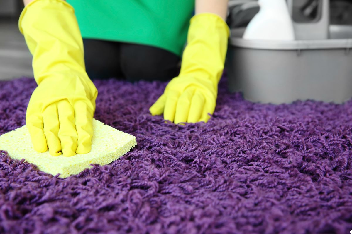 A person in yellow gloves is using a vacuum to clean a vibrant purple carpet.