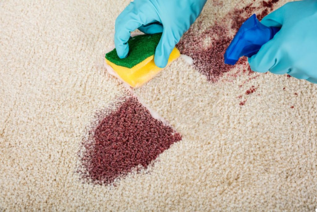 A person using a sponge to clean a carpet, demonstrating effective cleaning techniques.